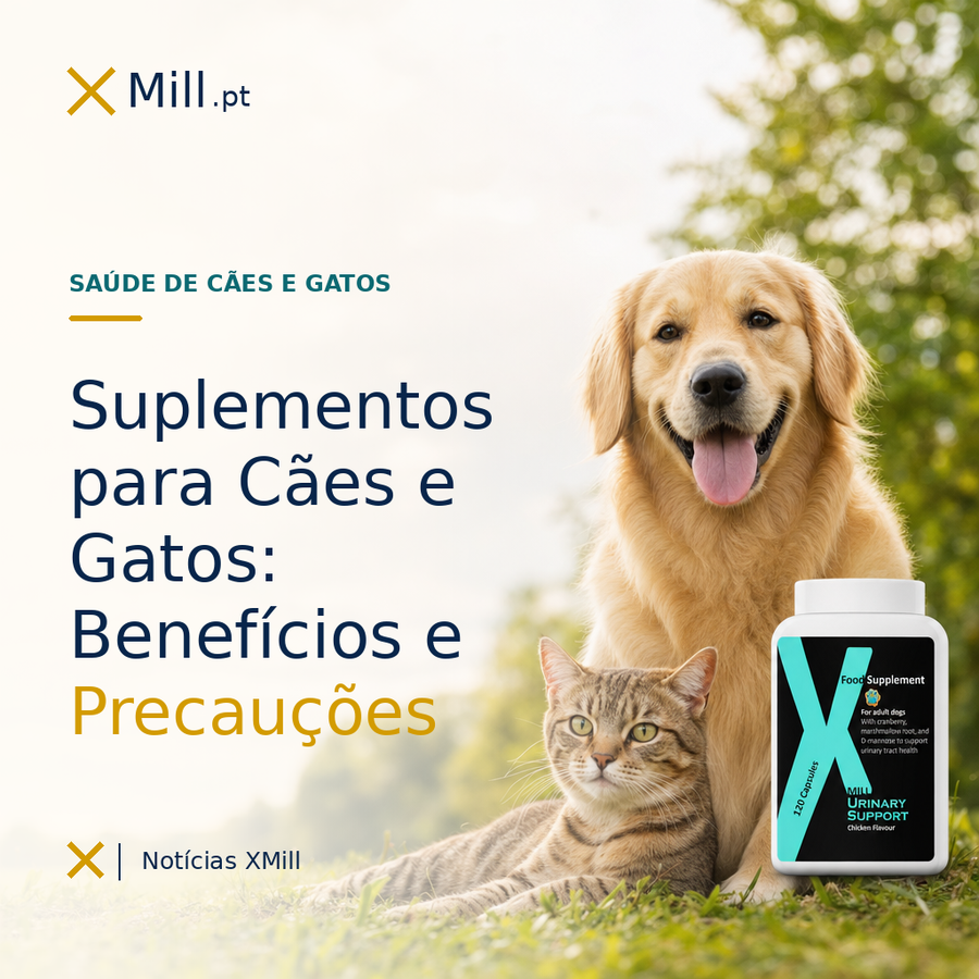 Suplementos para Cães e Gatos: Benefícios e Precauções