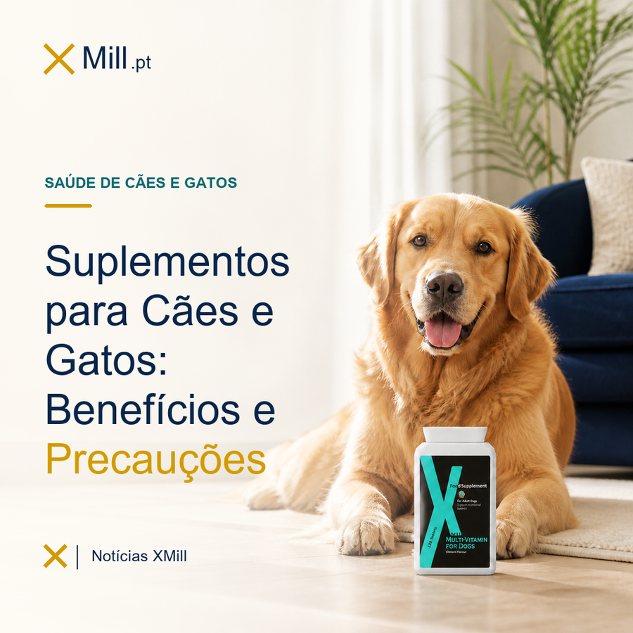 Suplementos para Cães e Gatos: Benefícios e Precauções